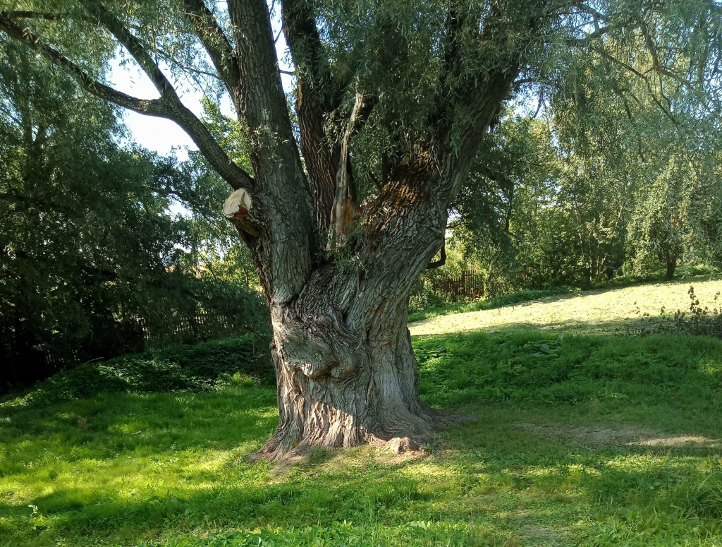 Саранск - Болдино - Тарханы - Никольск - Пенза. 3 дня