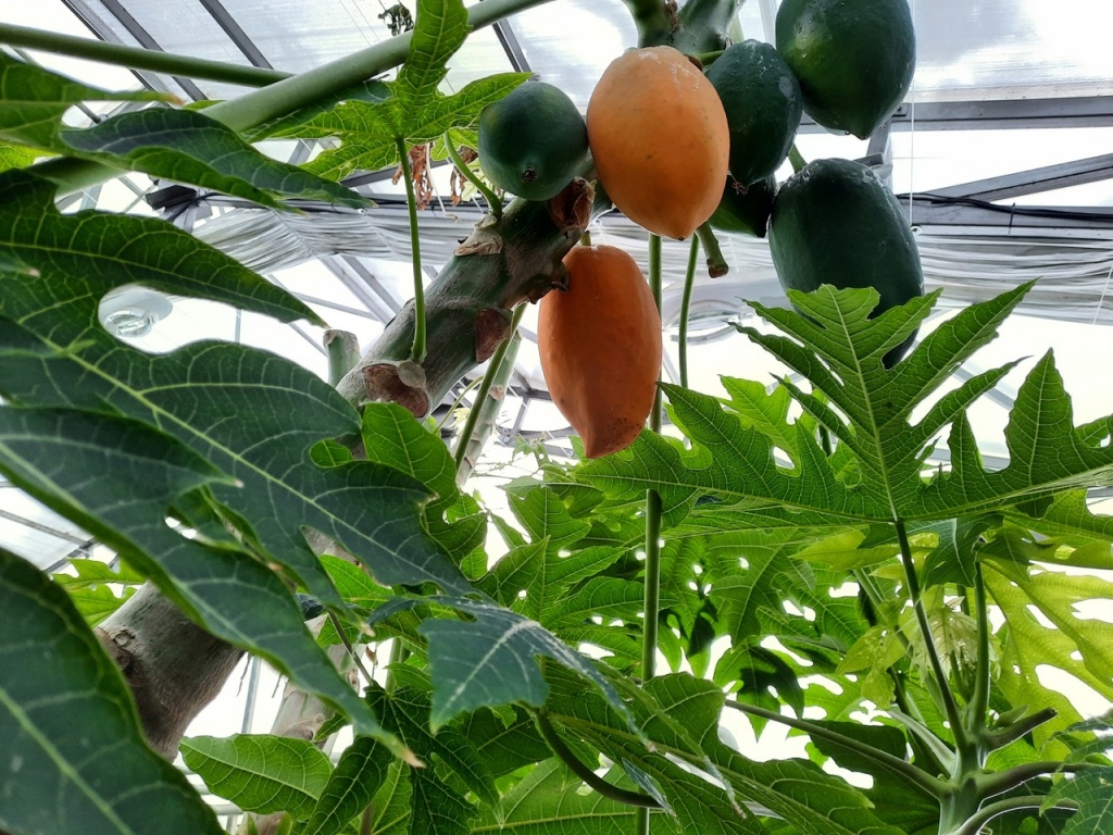 АРХИВ.8 Марта «Праздник для любимых!» 2 дня