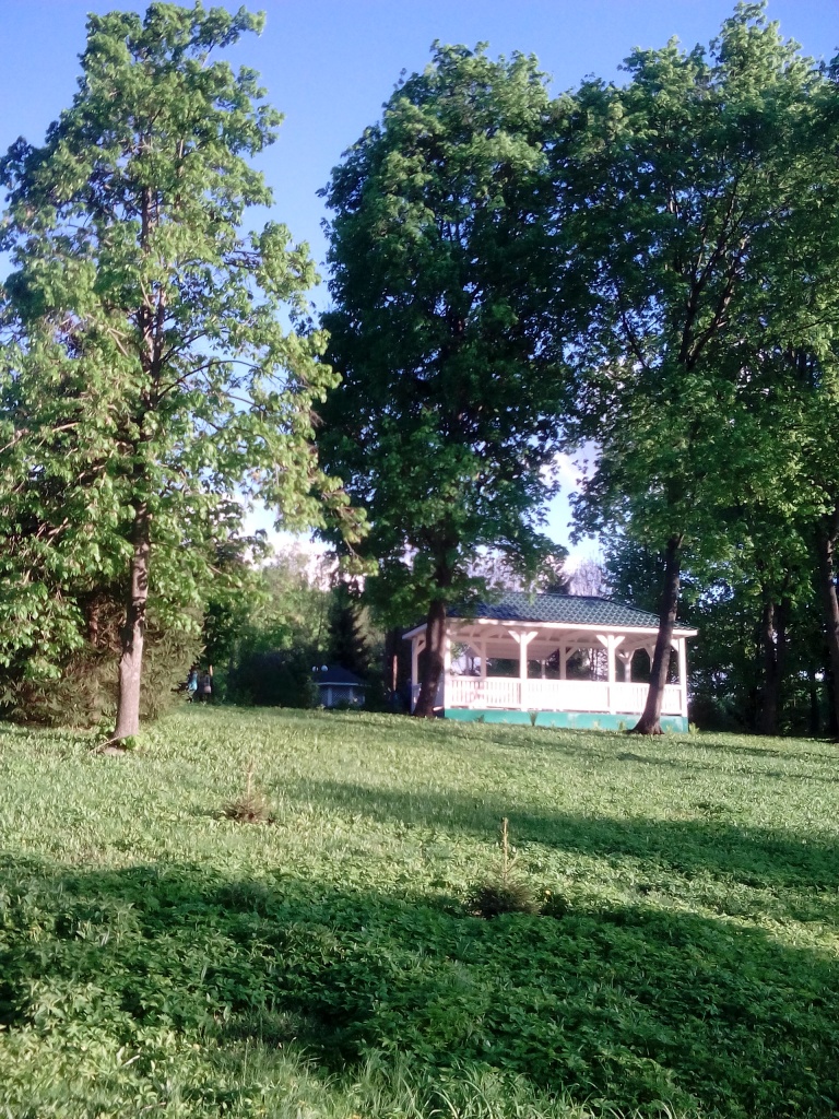 "Сиреневая ночь в Ивановке" Тамбов - Ивановка