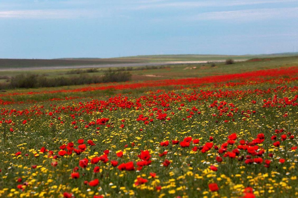 «Тропой легендарных кочевников». Озеро Баскунчак – Сарай Бату – Астрахань – Камызяк - Осетровая ферма