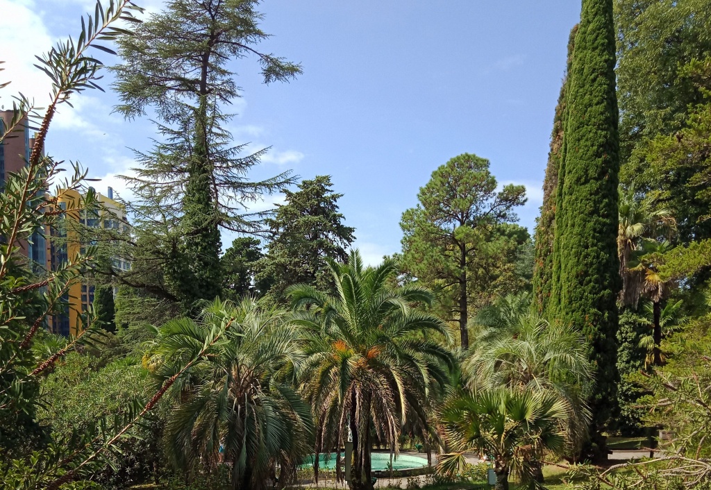 НОВИНКА! «Жемчужины Чёрного моря» Сочи - Абхазия - Красная Поляна от 17 400 р