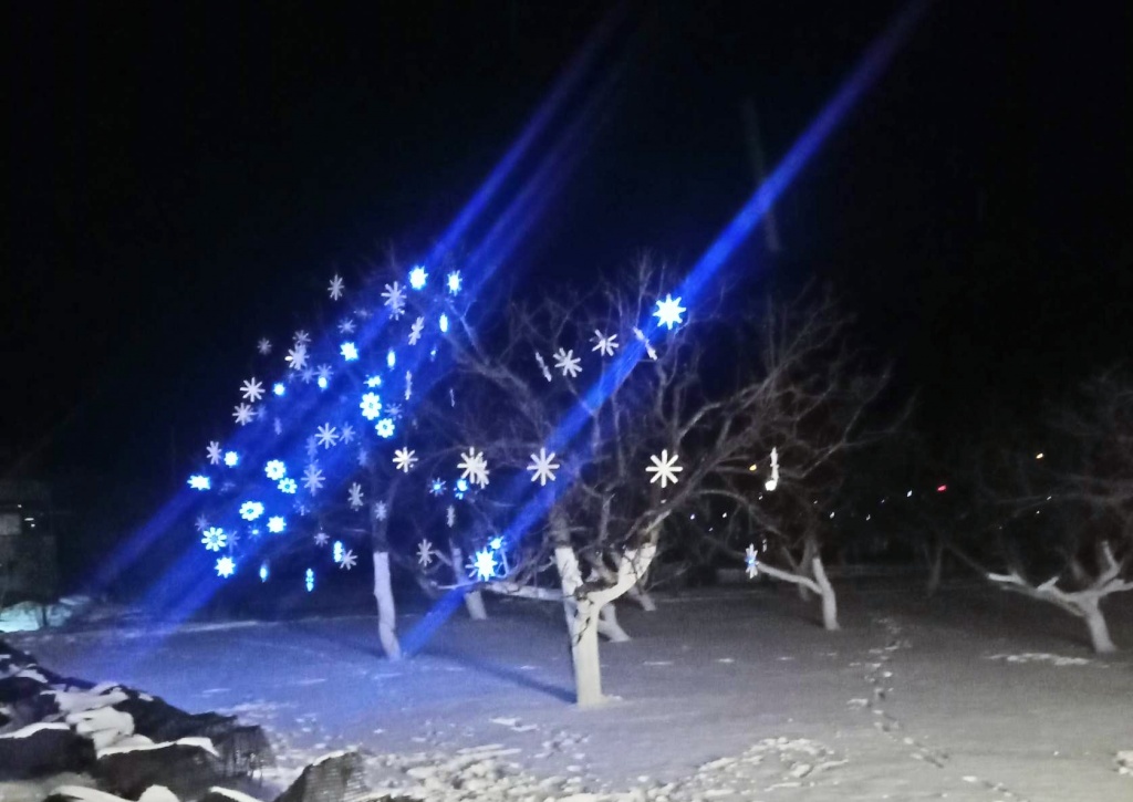 РОЖДЕСТВО В ДИВЕЕВО. АРЗАМАС.   2500 р